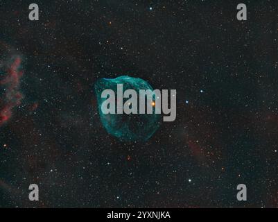 SH2-308, der Delfinnebel im Sternbild Canis Major. Stockfoto