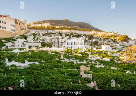 Historischer Friedhof von Tetouan, Nordmarokko Stockfoto