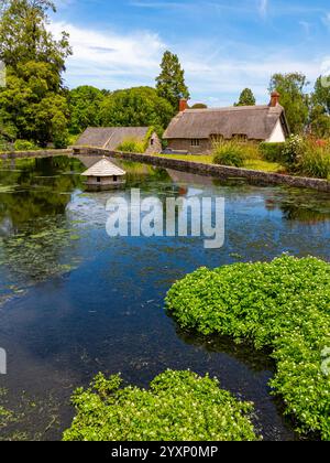 Ententeich und Reetdachhaus in East Quantoxhead, einem Dorf in der Quantock Hills Area of Outstanding Natural Beauty im Norden von Somerset England Großbritannien Stockfoto