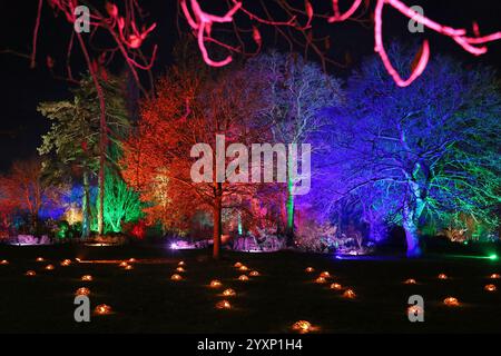 Welcome Lawn, Glow 2024, RHS Garden Wisley, Woking, Surrey, England, Großbritannien, Großbritannien, Europa Stockfoto