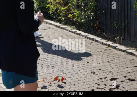 Eine Frau läuft einen Bürgersteig hinunter, mit einem Schatten von ihr auf dem Boden. Der Bürgersteig ist mit Blättern und Trümmern bedeckt, und es ist eine Pfütze voller Blut drauf Stockfoto