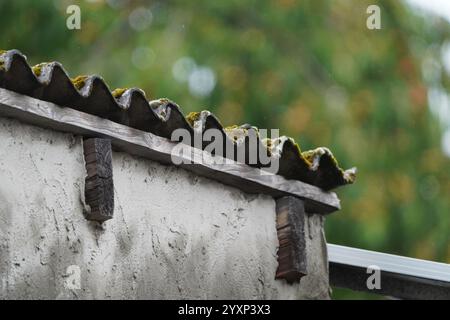 Ein Dach mit Moos, das darauf wächst. Das Dach besteht aus Holz und ist an einer Wand befestigt Stockfoto