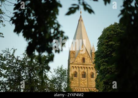 Ein hohes Gebäude mit einem Turm und einer Uhr an der Vorderseite. Das Gebäude ist von Bäumen umgeben und der Himmel ist blau Stockfoto