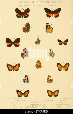 Rhopalocera exotica London Gurney Jackson 1887-1902 Schmetterlinge Schmetterling Rose Monteiro, diese Illustration zeigt eine Sammlung verschiedener Schmetterlingsarten aus der Familie Lycaenidae, insbesondere die Gattungen Pseuderesia, Liptena und Durbania. Jeder Schmetterling ist akribisch mit seinem wissenschaftlichen Namen und seiner Identifikationsnummer gekennzeichnet, die eine Vielzahl von Farben und Mustern für diese Familie zeigen. Das Arrangement zeigt die einzigartigen Merkmale jeder Art, einschließlich Flügelformen und -Markierungen, die die Schönheit und Variabilität von African butte veranschaulichen Stockfoto