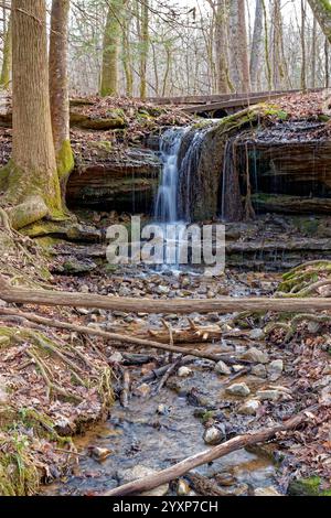 Ein kleiner Wasserfall, der sich in einen Bach ergießt, mit umgefallenen Baumstämmen, die vom Pfad oberhalb abfließen und im Winter über Vegetation und Felsen abfließen Stockfoto