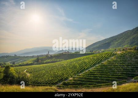 Prosecco Hills, Weinberge und San Pietro di Barbozza Dorf am späten Nachmittag. Unesco-Stätte. Valdobbiadene, Provinz Treviso, Region Veneto, IT Stockfoto