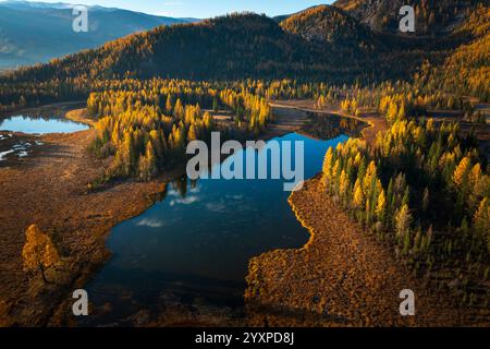 Malerischer Herbstblick mit einem ruhigen See umgeben von leuchtenden goldenen Bäumen und Hügeln in Altai. Ruhige Atmosphäre und lebhafte Herbstfarben schaffen eine malerische natürliche Umgebung voller Schönheit Stockfoto