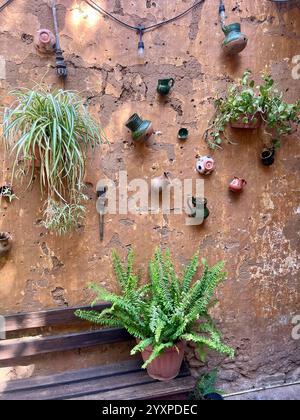 Eine Pflanze und Tontöpfe zieren eine Steinmauer. Stockfoto