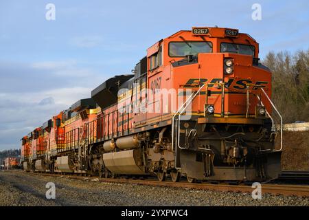 Seattle, WA, USA - 16. Dezember 2024; orange Güterlokomotiven der BNSF warten auf Arbeit Stockfoto