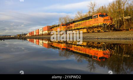 Seattle, WA, USA - 16. Dezember 2024; intermodaler BNSF-Containerzug reflektiert in der Pfütze im goldenen Licht Stockfoto