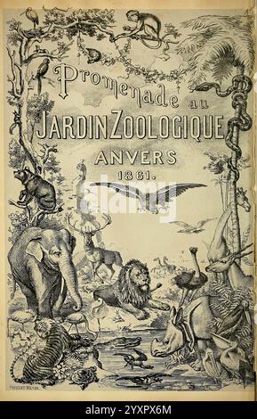 Promenade au jardin zoologique d'Anvers, Anvers, J.-E. Buschmann, 1861, Belgien, Antwerpen, Zoos, Dierentuin, das Kunstwerk bietet ein kompliziertes Design, das eine Vielzahl von Tieren und üppiges Laub zeigt und eine bezaubernde Szene schafft. Hervorzuheben ist der Titel „Promenade au Jardin Zoologique“, „Anvers“ und das Jahr „1861“ darunter. Eine Vielzahl von Lebewesen, darunter Elefanten, ein Löwe, Affen und Vögel, sind kunstvoll angeordnet, um die Lebendigkeit eines Zoos zu unterstreichen. Die detaillierten Illustrationen fesseln die Fantasie und laden die Zuschauer zum Erkunden ein Stockfoto