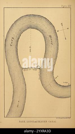 Der amerikanische Biber und seine Werke. Philadelphia, J. B. Lippincott & Co, 1868 Beavers, Woodshole. Die Abbildung zeigt eine detaillierte Karte der Bank Lodge und des Beaver Canal. Im Mittelpunkt steht ein gewundener Kanal, der eine lange Kurve bildet und auf einen natürlichen Wasserweg hindeutet. Verschiedene geografische Markierungen und Etiketten zeigen Orte an, wie z. B. „Bank Lodge“ oben links und „Beaver Canal“ unten. Die Karte enthält Richtungsanzeiger mit einer Kompassrose in der oberen rechten Ecke, die den Norden oben zeigt. Die Gesamtkonstruktion weist unterschiedliche Linien auf, die das c darstellen Stockfoto