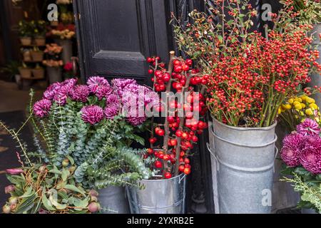 Nadina domestica, Orangen-Chrysanthemen, Eukalyptuszweige, chinesische Äpfel auf Zweigen zum Blumenstrauß-Arrangement auf einem Blumenmarkt. Stockfoto