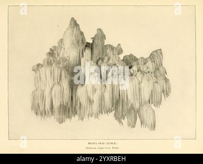 The, Pilz, Buch, New York, 1901, Kochen, Pilze, Pilze, Pilze, Eine atemberaubende Darstellung geologischer Formationen, mit hoch aufragenden Felsstrukturen mit komplizierten Texturen und scharfen Gipfeln. Die Konturen und Schatten heben die natürlichen Unregelmäßigkeiten und den organischen Fluss der Formationen hervor, die an Formationen in Höhlen oder Bergregionen erinnern. Die Szene weckt ein Gefühl des Staunens über die Kraft der Kunstfertigkeit der Natur und lädt die Zuschauer ein, den Verlauf der Zeit und die Elemente zu betrachten, die diese prächtigen Strukturen geformt haben. Stockfoto