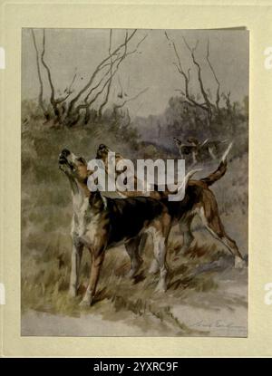 The Power of the Dog London Hodder and Stoughton 1910 oder 1911 Dog Breeds Hunde Bilder Illustrationen Maude Earl Maude Alice Earl Women in Science, die Szene fängt ein Paar Hunde ein, die scheinbar wachsam und in der Wildnis verwickelt sind. Ihre ausdrucksstarken Gesichter und ausgeglichenen Körper deuten auf einen gemeinsamen Zweck hin, möglicherweise Jagd oder Erkundung. Hinter ihnen sorgen dünne Unterholz und zarte Baumzweige für Tiefe, während sanfte, gedämpfte Töne die ruhige Atmosphäre unterstreichen. Ein Hund steht mit erhobenem Kopf, der andere blickt aufmerksam und erzeugt ein Gefühl von Kameradschaft und Konzentration. Die Zusammensetzung e Stockfoto