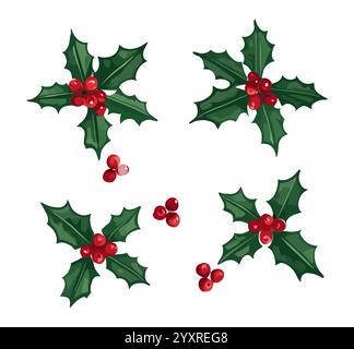 Set von Stechpalme, Dezember Geburtsmonat Blumen Stock Vektor