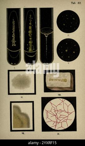 Atlas and Essentials of Bacteriology New York, William Wood & Co, 1897, Bacterium, Atlanten, Bacteriological Technics, die Abbildung zeigt verschiedene wissenschaftliche Themen in einem strukturierten Layout. Oben zeigen zwei gestreckte Formen eine Reihe von Punkten oder Partikeln, die wahrscheinlich eine mikroskopische Ansicht von Mikroorganismen oder Zellstrukturen darstellen. Darunter deutet ein wirbelndes Muster auf dynamische Prozesse hin, was möglicherweise Flüssigkeitsbewegungen oder chemische Reaktionen veranschaulicht. Stockfoto