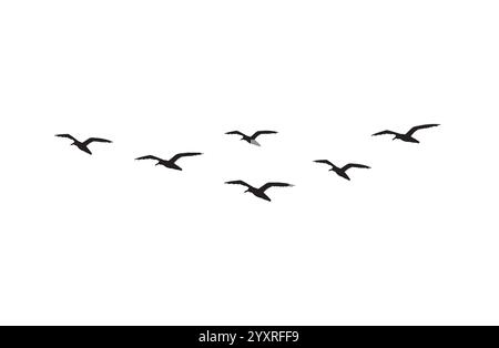 Vektor Hand gezeichnete Kritzelskizze fliegende Möwenvögel Schwarm Silhouette isoliert auf weißem Hintergrund Stock Vektor