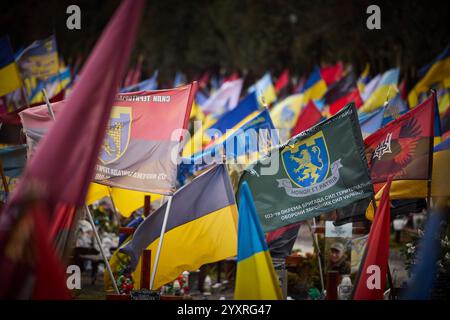 Lviv, Ukraine. Dezember 2024. Tausende von Fahnen markieren die Gräber gefallener Krieger auf dem Marsfeld auf dem Lytschakiw-Friedhof, 17. Dezember 2024 in Lemberg, Ukraine. Kredit: Ukrainischer Ratsvorsitz/Pressestelle Des Ukrainischen Präsidenten/Alamy Live News Stockfoto