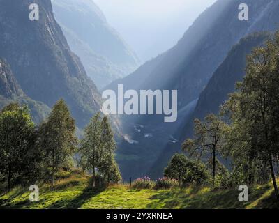 Ein abgelegenes Tal wird bei Sonnenaufgang von einem malerischen Ausblick im Stalheim Hotel in Norwegen gesehen. Stockfoto