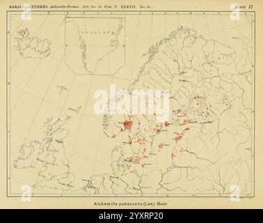 Die nordischen Alchemilla vulgaris-Formen und ihre Verbreitung. Helsingfors, Finnischen Literaturgesellschaft, 1909. Alchemilla, Fennoscandia, die Karte zeigt die Verbreitung der Art Alchemilla pubescens in verschiedenen Regionen Skandinaviens. Jeder rote Punkt zeigt einen bestimmten Ort an, an dem diese Pflanzenart erfasst wurde, was wertvolle Einblicke in ihre geografische Präsenz bietet. Die detaillierte kartographische Darstellung enthält prominente geografische Merkmale und Umrisse von Ländern, was dazu beiträgt, die Vorkommnisse innerhalb der größeren Landschaft Nordeuropas zu kontextualisieren. Stockfoto