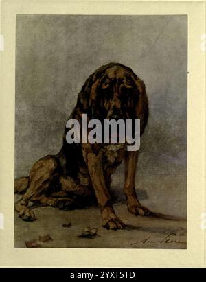 Die Macht des Hundes, London, Hodder und Stoughton, 1910 oder 1911, Hunderassen, Hunde, Bilder, Illustrationen, Maude Earl, Frauen in der Wissenschaft, eine nachdenkliche Darstellung eines sitzenden Hundes, gekennzeichnet durch seine starke und edle Haltung. Der Ausdruck des Hundes vermittelt ein Gefühl der Loyalität und Besinnung, mit leicht nach oben gerichteten Ohren und aufmerksamem Blick. Das Fell ist in satten, erdigen Tönen dargestellt, was auf ein gepflegtes Fell hindeutet. Unten zeigen einige verstreute Blätter eine Umgebung im Freien an, die die natürliche Atmosphäre noch weiter verbessert. Das Fehlen lebendiger Farben lenkt die Aufmerksamkeit auf die Texturen und Details Stockfoto