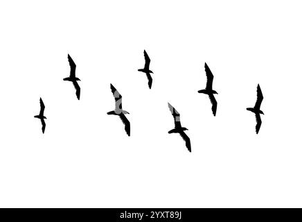 Vektor Hand gezeichnete Kritzelskizze fliegende Möwenvögel Schwarm Silhouette isoliert auf weißem Hintergrund Stock Vektor