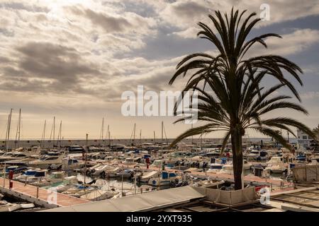 Marbella, Malaga, Spanien 8. Dezember 2024: Aufnahmen in Marbella in Malaga, Spanien, die den Hafen von Martina im Winter zeigen Stockfoto