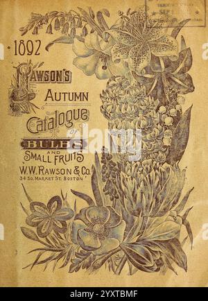 Rawsons Herbstkatalog mit Zwiebeln und kleinen Früchten, Boston, Mass, W. W. Rawson & Co, 1894, Flowers, Gemüses, Boston, Obst, Gartenarbeit, Massachusetts, Samen, Gräser, Kataloge, Gärtnereien, Ausrüstung und Zubehör, Gärtnereien, Gartenbau, Blumenzwiebeln, Pflanzen, Saatgutindustrie und Handel, W.W. Rawson Co, Garden Stories, das Kunstwerk in Bloom zeigt ein kompliziertes Design mit einer Vielzahl von Blumen und Pflanzen, wunderschön angeordnet neben dem Titel „Rawson's Herbstkatalog of Bulbs and Small Fruits“, der in der Mitte sichtbar ist. Unten ist der Name „W.W. Rawson & Co.“ eingetragen Stockfoto