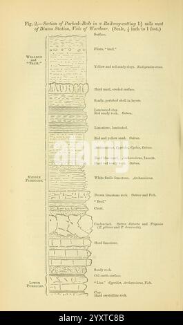 The Quarterly Journal of the Geological Society of London, v. 37 (1881). London, Geologie, Zeitschriften, diese Illustration zeigt einen detaillierten geologischen Querschnitt von Pockholt-Bels und betont verschiedene Schichten, die während des Bohrens angetroffen wurden. Er weist beschriftete Schichten auf, einschließlich der Oberfläche, die als „Pluto's „Soil“.jpg“ identifiziert wird, und unterscheidet zwischen verschiedenen Mineralzusammensetzungen und Gesteinsarten, wie Sandstein, Kalkstein und verschiedenen Granitsorten. Das Diagramm kategorisiert die Tiefe jeder Schicht weiter und liefert Details über die geologischen Formationen, einschließlich ihrer Charakteristika Stockfoto