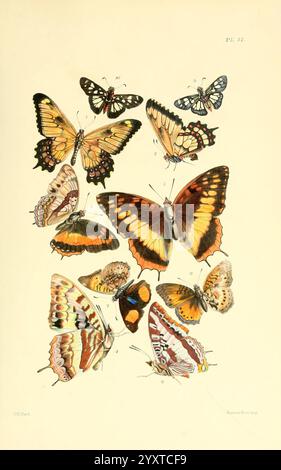 Thesaurus entomologicus Oxoniensis Oxford auf der Clarendon Press 1874 Insektenidentifikation Arthropoda Entomologie Klassifikation Arthropoden, Eine Sammlung von aufwändig illustrierten Schmetterlingen, die eine Vielzahl von Arten und ihre charakteristischen Muster und Farben zeigen. Das Arrangement zeigt eine Mischung aus großen und kleinen Schmetterlingen und hebt Merkmale wie lebendige Flügel mit auffälligen Mustern in Orange, Gelb, Schwarz und weiß hervor. Jede Probe ist mit einem Buchstaben gekennzeichnet, der einen Einblick in ihre wissenschaftliche Klassifizierung gibt. Das detaillierte Rendering erfasst die empfindlichen Texturen und Stockfoto