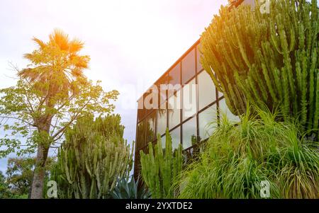 Modernes Glasgebäude umgeben von tropischen Pflanzen und Kakteen. Stockfoto