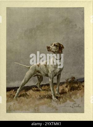 Die Kraft des Hundes London Hodder und Stoughton 1910 oder 1911 Hunderassen Hunde Bilder Illustrationen Maude Earl Maud Alice Earl Maude Earl Earl Frauen in der Wissenschaft steht Ein anmutiger Zeigerhund wachsam auf einem grasbewachsenen Gelände und zeigt seine schlanke Bauweise und aufmerksame Haltung. Der Hund blickt in die Ferne und verkörpert ein Gefühl der Neugier und Eleganz. Der Mantel verfügt über eine Mischung aus weißen und dezenten Bräunungsflecken, die den sportlichen Rahmen betonen. Der Hintergrund fängt eine ruhige Landschaft ein, mit sanften Tönen, die die Präsenz des Hundes verstärken und ein friedliches, aber wachsames Ambiente in der Natur hervorrufen. Das s des Künstlers Stockfoto