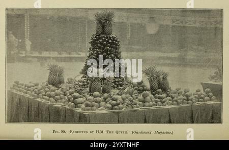 Journal of the Royal Horticultural Society of London, London, gedruckt für die Royal Horticultural Society von Spottiswoode & Co, Botanik, Obstkultur, Gartenbau, Zeitschriften, Gesellschaften, Tuinbouw, Tuinen, Tuinieren, die Szene zeigt eine sorgfältig angeordnete Ausstellung von Ananas und anderen Früchten, die die Früchte in einer Gartenausstellung zeigt. In der Mitte steht eine große Ananaspyramide, umgeben von kleineren Früchten, die die visuelle Wirkung des Arrangements verstärken. Diese Einrichtung unterstreicht die Kunstfertigkeit und das Können, das mit dem Anbau und der Präsentation von Früchten verbunden ist Stockfoto