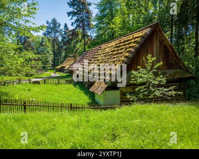 Sanok, Polen - 4. Mai 2024. Reihe traditioneller Holzhütten mit leuchtend grünen moosbedeckten Dächern, eingebettet in eine sonnenverwöhnte Waldlichtung. Stockfoto