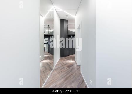 Ein eleganter, moderner Flur mit klaren Linien, geometrischer Architektur und elegantem Holzfußboden, der eine minimalistische und stilvolle moderne Ästhetik schafft Stockfoto
