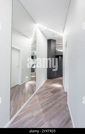 Ein eleganter, moderner Flur mit klaren Linien, geometrischer Architektur und elegantem Holzfußboden, der eine minimalistische und stilvolle moderne Ästhetik schafft Stockfoto