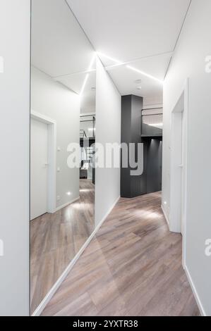 Ein eleganter, moderner Flur mit klaren Linien, geometrischer Architektur und elegantem Holzfußboden, der eine minimalistische und stilvolle moderne Ästhetik schafft Stockfoto