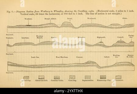 Die, vierteljährlich, Journal, von, die, Geological, Society, of, London, V, 33, 1877, London, Geologie, Zeitschriften, die Abbildung zeigt eine Reihe geologischer Querschnitte, die verschiedene Schichten und Formationen in einer bestimmten Region beschreiben. Jeder Abschnitt hebt verschiedene geologische Merkmale hervor, darunter Sedimentationsschichten, Bodenarten und das Vorhandensein verschiedener Mineralien und Fossilien. Labels kennzeichnen die unterschiedlichen Formationen wie Weald, Hastings, Oxford und Kimmeridgian, "was ihre geologische Bedeutung angibt. Diese visuelle Darstellung dient als Eduka Stockfoto