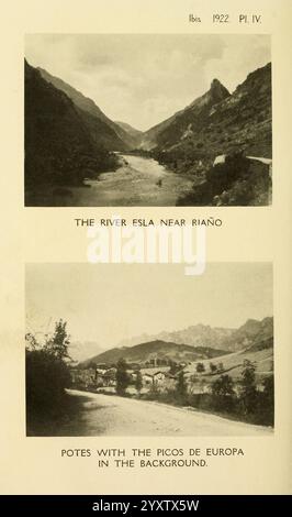 Das ibis London wurde für die British Ornithologists' Union von Academic Press Birds Ornithology Periodicals veröffentlicht. Es bietet Einen malerischen Blick auf den Fluss Esla, der in der Nähe der Stadt Riaño fließt, eingerahmt von hohen Bergen, die eine dramatische Kulisse bilden. Der ruhige Fluss spiegelt die natürliche Schönheit der umliegenden Landschaft wider. Unten liegt ein bezauberndes Dorf in einem Tal, mit dem majestätischen Picos de Europa im Hintergrund. Diese idyllische Umgebung unterstreicht die Harmonie zwischen dem bewirtschafteten Land und dem zerklüfteten Gelände. Stockfoto