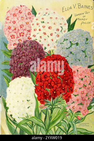 Miss Ella V. Baines die Blumenfrau Springfield, Ohio Springfield, Ohio Baines 1913 Blumen Rosen Samen Phlox Kataloge Pflanzen Zierhandel Kataloge Saatgut- und Handelsgartengeschichten in der Blüte wird Ein lebendiges Sortiment an kräftigen Phlox-Blüten gezeigt, die eine wunderschöne Mischung aus Farben wie tiefem Rot, weichem Rosa, knusprigem weiß und sanftem Lavendel zeigen. Jede Blume ist detailreich und betont die einzigartigen Blütenblätter und lebendigen Töne. Das Arrangement zeigt die reiche Vielfalt an Gartensorten, mit üppig grünen Blättern, die Kontrast und Tiefe der Gesamtfläche verleihen Stockfoto