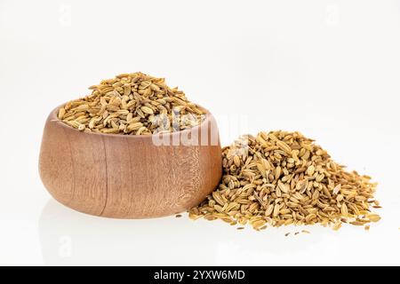 Fenchelsamen in der Schüssel - Foeniculum vulgare. Stockfoto