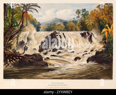 Zwölf Ansichten Im Inneren Von Guayana, London, Ackermann And Co, 1841. Beschreibung und Reise, Guyana, Pictorial Works, die Illustration zeigt einen atemberaubenden Wasserfall, der über eine felsige Landschaft fällt, umgeben von üppigem Grün. Hoch aufragende Bäume und lebhaftes Laub bilden den Rahmen für die Szene und deuten auf den Reichtum der natürlichen Umgebung hin. Das Wasser stürzt gewaltig herunter und erzeugt schaumige Sprays, die sich im Kontrast zu den dunklen Felsen darunter befinden. Im Hintergrund verweilen weiche Wolken in einem ruhigen Himmel und unterstreichen das ruhige und doch kraftvolle Ambiente dieses Naturwunders. Die detaillierte Darstellung lädt die Zuschauer ein t Stockfoto