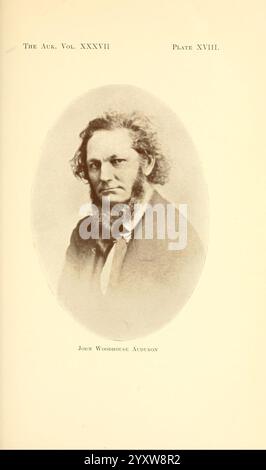 The Auk, Washington, D.. C, American Ornithologists' Union, 1884, Zeitschriften, Porträts, Ornithologie, John Woodhouse Audubon, Maler, Ein Porträt eines Mannes mit markantem Bart und langen Haaren, gekleidet in Kleidung aus dem 19. Jahrhundert, mit Kragen und Krawatte. Die Komposition betont seinen düsteren Ausdruck und seinen kontemplativen Blick, eingerahmt in eine ovale Grenze. Unter dem Bild ist der Name „John Woodhouse Audubon“ eingeprägt, was darauf hindeutet, dass er wahrscheinlich mit dem Gebiet der Naturgeschichte oder Ornithologie in Verbindung steht. Der Gesamtton des Bildes spiegelt ein ernstes Verhalten wider und deutet auf eine Person o hin Stockfoto