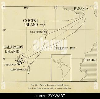 The Arcturus Adventure New York Putnam 1926 Arcturus Schiff Cocos Island Costa Rica Beschreibung und Reise Galapagos Inseln Meerestiere Wissenschaftliche Expeditionen Waldloch Galapagos Hist Sci Art, die Abbildung zeigt eine nautische Karte, die die geographischen Merkmale und Meeresströmungen rund um die Galápagos Inseln und Cocos Island beleuchtet. Es enthält markierte Orte wie die „Station 74“ und Hinweise auf wichtige Punkte, einschließlich der Küste von Ecuador. Die Karte zeigt Pfade, die aktuelle Rip-Muster und mögliche Routen während einer Reise anzeigen, wobei die räumliche Re hervorgehoben wird Stockfoto