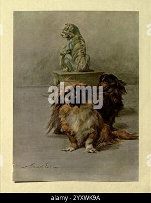 Der, die Macht, der, der, der Hund, London, Hodder, und Stoughton, 1910, oder 1911, Hund, Rassen, Hunde, Bilder, Illustrationen, Maude, Earl, Maud, Alice, Earl, Maude, Earl, Frauen, in, Wissenschaft, zwei Pekinger Hunde sitzen im Vordergrund, ihre flauschigen Mäntel in satten Braun- und Cremetönen. Sie blicken aufmerksam und strahlen ein Gefühl von Neugier und Gesellschaft aus. Hinter ihnen befindet sich eine dekorative Löwenstatue auf einem Sockel, die der Szene ein elegantes und formelles Element verleiht. Die Umgebung wirkt ruhig und komponiert und fängt einen Moment der Ruhe zwischen der spielerischen Natur der Hunde und ein Stockfoto