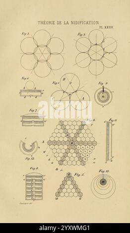 Études sur la famille des Vespides, Paris, V. Masson, 1852-1858, Eumenes, hornissen, Pollenwespen, Vespidae, Wespen, Museum of Comparative Zoology., die Illustration zeigt eine Reihe von technischen Diagrammen zum Konzept der Nidifizierung, die verschiedene geometrische Formen und Arrangements zeigen. Oben zeigen mehrere kreisförmige Figuren Prinzipien der Musterbildung, während sich die nachfolgenden Figuren mit sechseckigen Konfigurationen und deren strukturellen Eigenschaften befassen. Der untere Abschnitt enthält detaillierte Skizzen, die architektonische oder organische Modelle darstellen können, wobei die Symmetrie und hervorgehoben werden Stockfoto
