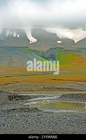 Gletscherstrom, der bis zur Arktis-Küste auf Kapp Waldburd auf den Svalbard-Inseln verläuft Stockfoto