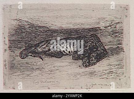 Delacroix - Tigre couché dans le désert; 1846, Stockfoto