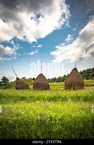 Rumänische Heuhaufen in der Landschaft der Sommerfelder Stockfoto